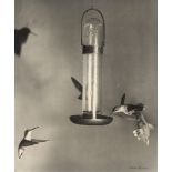 Harold E. Edgerton. „Ruby throated Humming Birds, Holderness, N. H.“ [New Hampshire]. 1936