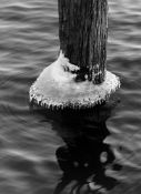 Toni Schneiders. „Winterliches Dekor. Ein Kragen aus Eis“. 1966