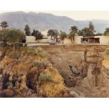 Joel Sternfeld. „After The Flash Flood, Rancho Mirage, California, July“. 1979