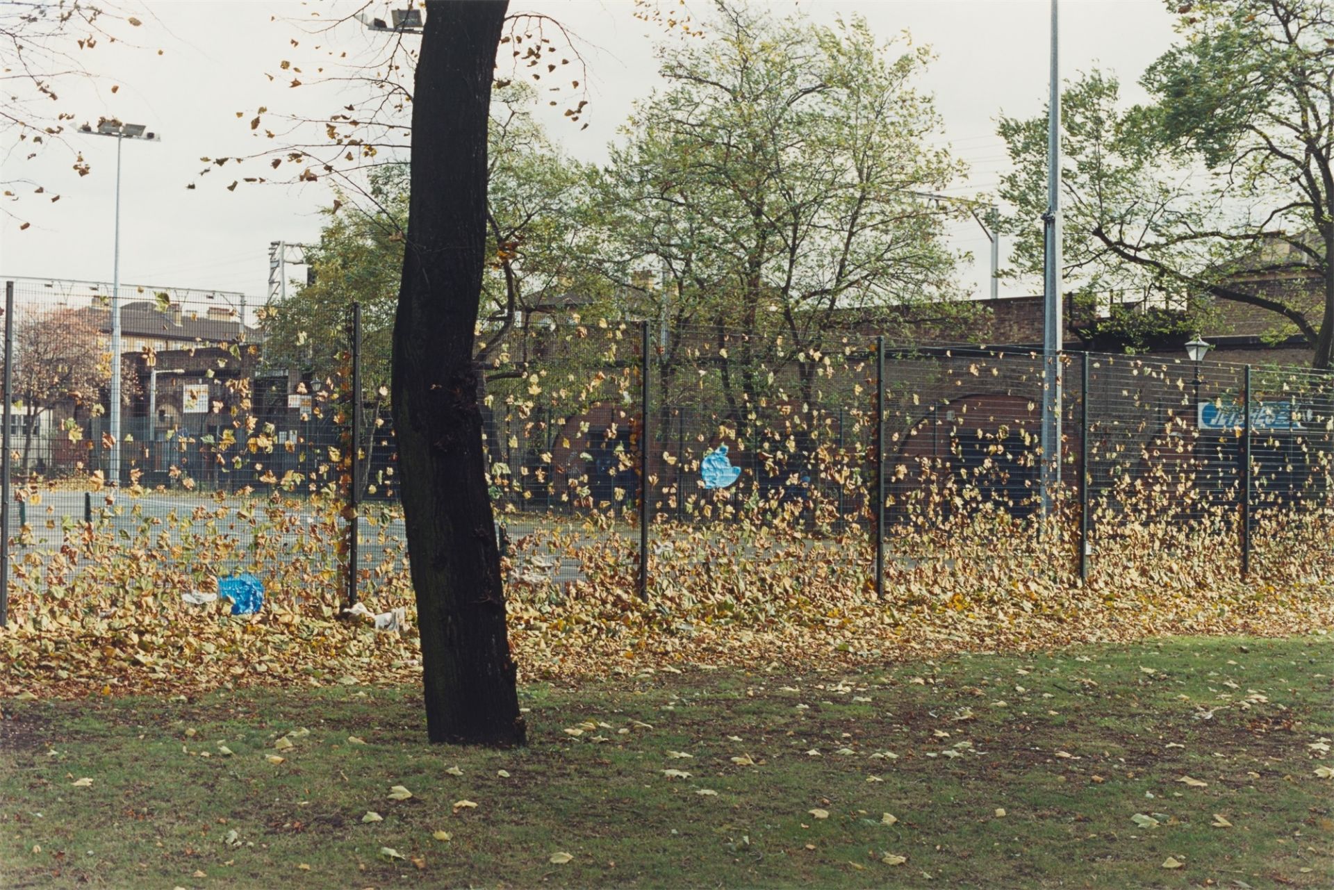 Wolfgang Tillmans. „after storm“. 2002