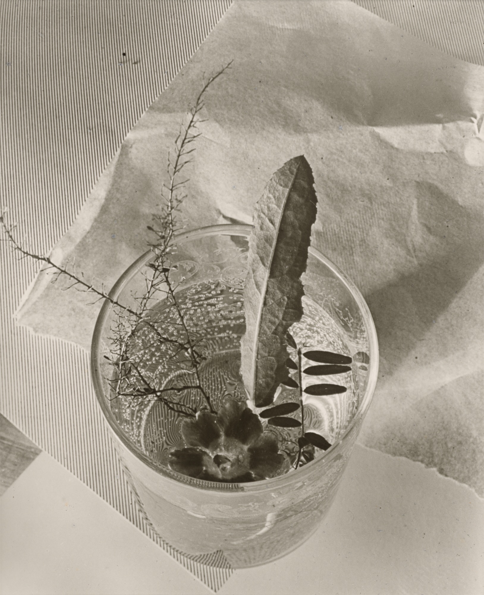 ringl + pit (Ellen Auerbach &amp; Grete Stern). FOTOGRAFIE ringl + pit. 1929–1933 - Image 3 of 12