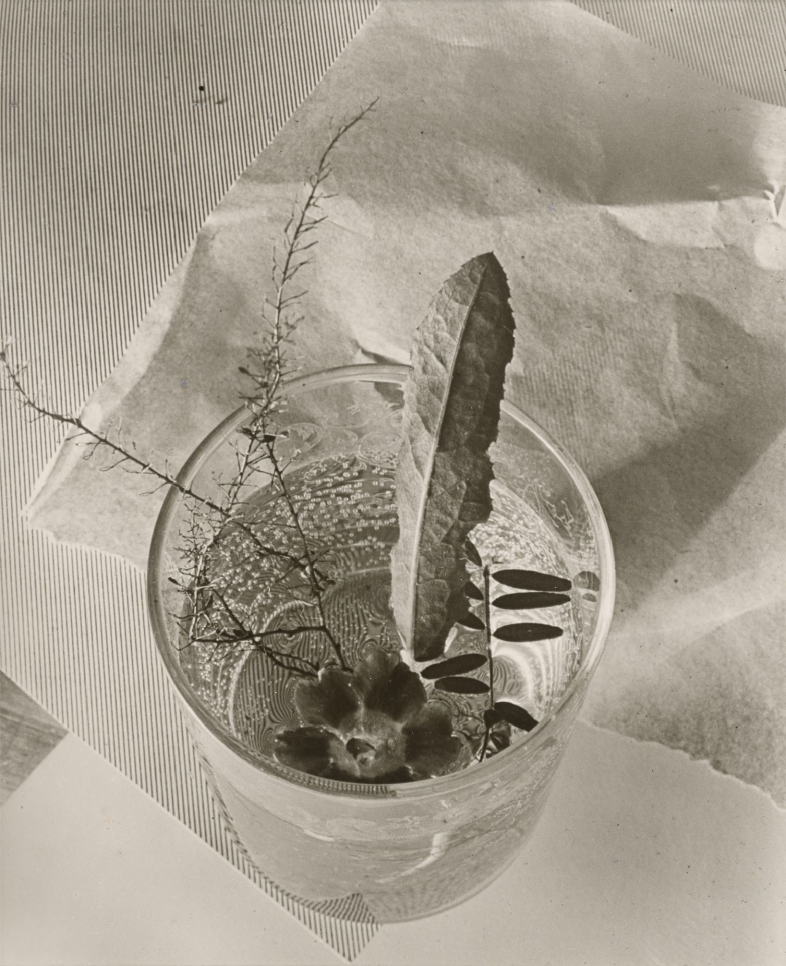 ringl + pit (Ellen Auerbach &amp; Grete Stern). FOTOGRAFIE ringl + pit. 1929–1933 - Bild 3 aus 12