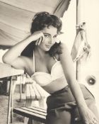 Frank Worth. Portfolio LIZ TAYLOR. 1950/55