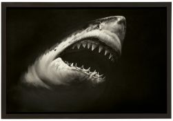 Robert Longo. Ohne Titel (Shark 15). 2008