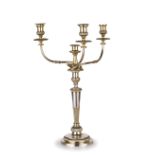 COPPIA DI CANDELABRI IN SILVER PLATE, INGHILTERRA, XIX SECOLO