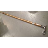 Jaguar handled walking stick