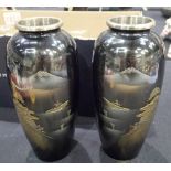 Pair of Japanese Bronze vases