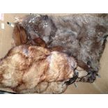 Box of fur muffs and stoles including mink example