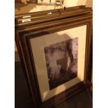 Four framed tiger prints by Spencer Hodge