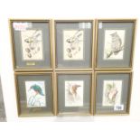 Set of six framed and glazed Jacquard Loom silk embroideries of birds and flowers 7 x 11 cm