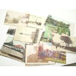 Collection of vintage postcards