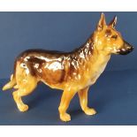 Royal Doulton Alsatian 'Champion Benign of Picardy' - No. HN1116 in gloss - 6". P&P group 1 (£16 for
