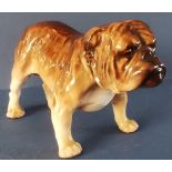 Royal Doulton Bulldog (Standing) - No. HN1044 in gloss - 3.25". P&P group 1 (£16 for the first