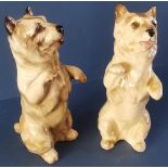 Two Royal Doulton Cairn Terriers - Begging - HN 258 in gloss - 4". P&P group 2 (£20 for the first