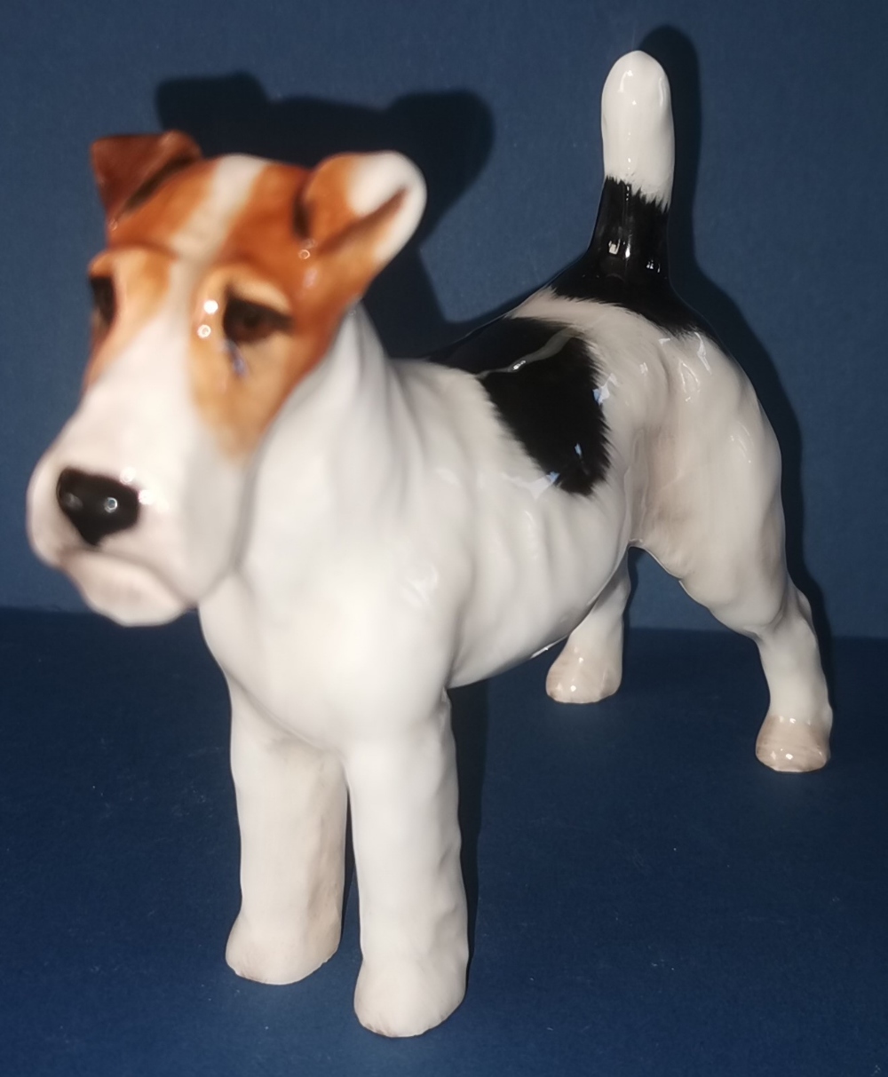 Royal Doulton Rough Haired Terrier 'Champion Crackley Startler' - No. HN1014 in gloss - 3.75". P&P