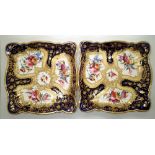 Presumed Rockingham pair of square painted and gilt cabinet plates bearing floral designs, W: 21