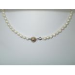 Single strand pearl necklace with a domed circular 9ct and ruby clasp, L: 45 cm P&P group 1 (£16 for