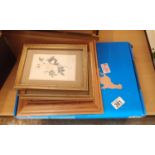 Three floral prints and Alice and the Dodo with a new corkboard map of the world. P&P Group 1 (£14+