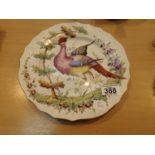 Antique handed painted bird paradise plate. D: 26 cm. P&P Group 1 (£14+VAT for the first lot and £