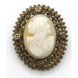 Vintage carved shell oval cameo set into a yellow metal brooch mount, H: 40 mm. P&P Group 1 (£14+VAT