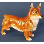 Royal Doulton Welsh Corgi 'Champion Spring Robin' - No. HN2558 in gloss - 5". P&P group 1 (£16 for