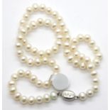 Vintage pearl necklace with a sterling silver clasp. P&P Group 1 (£14+VAT for the first lot and £1+