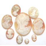 Eight shell cameos, largest H: 6 cm. P&P Group 1 (£14+VAT for the first lot and £1+VAT for