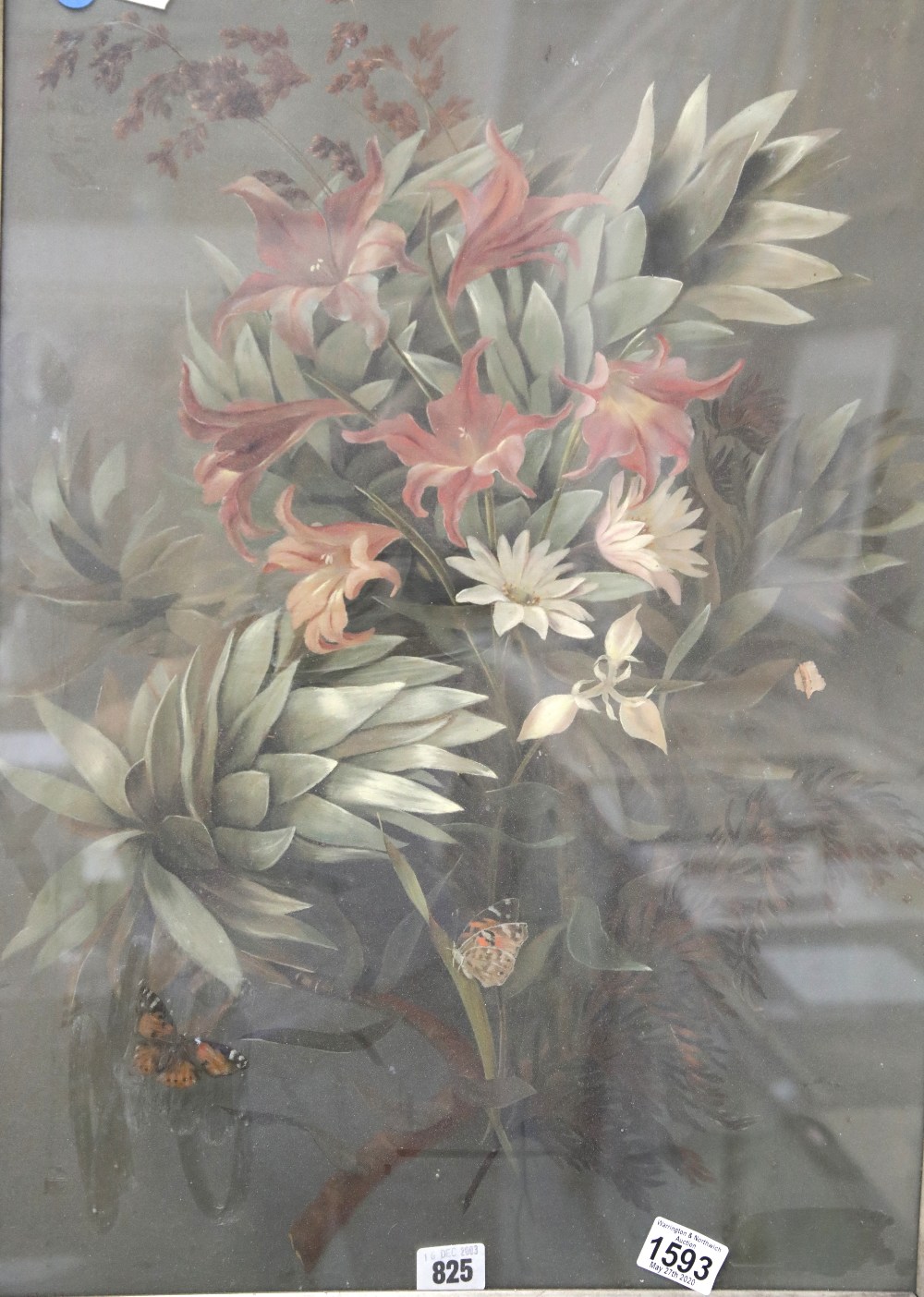 Large framed and glazed Victorian unsigned Oil on board Still life flowers and butterflies. 60 x
