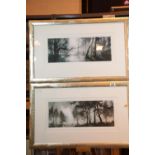 Pair of framed and glazed woodland scene prints, 45 x 20 cm. This lot is not available for in-