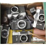 Box of mixed camera bodies. P&P Group 3 (£25+VAT for the first lot and £5+VAT for subsequent lots)
