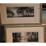 Pair of framed and glazed woodland scene prints, 45 x 20 cm. This lot is not available for in-