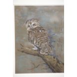 Joan Fielden owl in pastels. This lot is not available for in-house P&P.