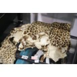 Large antique leopard skin, L: 120 cm. P&P Group 2 (£18+VAT for the first lot and £3+VAT for