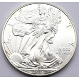 2011 pure silver American Liberty 1oz coin. P&P Group 1 (£14+VAT for the first lot and £1+VAT for