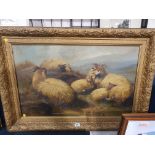 Victorian oil on board painting of sheep in a gilt frame. Not available for in-house P&P.