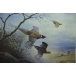 Peter Allis framed and glazed signed limited edition print of pheasants in flight, 10/500, 70 x 50