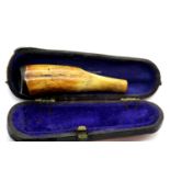 Antique cheroot of natural form in original fitted box. P&P Group 1 (£14+VAT for the first lot