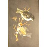 Early Pietra Dura study of two birds and a butterfly. Not available for in-house P&P.