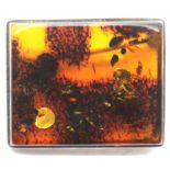 White metal, probably silver mounted rectangular natural amber brooch with seed and plant