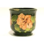Moorcroft green ground Hibiscus planter. P&P Group 2 (£18+VAT for the first lot and £3+VAT for