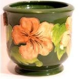 Moorcroft green ground Hibiscus planter. P&P Group 2 (£18+VAT for the first lot and £3+VAT for