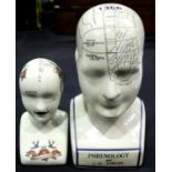 Two phrenology heads, tallest H: 24 cm. P&P Group 2 (£18+VAT for the first lot and £3+VAT for
