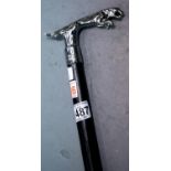 Jaguar handled walking stick, H: 92 cm. P&P Group 2 (£18+VAT for the first lot and £3+VAT for