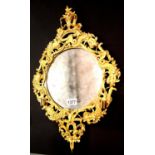 Good 19th century ormolu framed circular mirror with suspension loop verso, 50 x 36 cm. Not