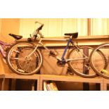 Gents Carrera Maxima 21 speed trail bike with 22" frame. Not available for in-house P&P