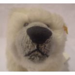 Steiff " Rico " polar bear fully jointed head and limbs. P&P Group 2 (£18+VAT for the first lot