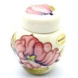 Small Moorcroft Pink Magnolia ginger jar, H: 9 cm. P&P Group 2 (£18+VAT for the first lot and £3+VAT