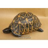 *Indian Star Tortoise Box Inlaid With Mahogany And Ebony [LQD123]
