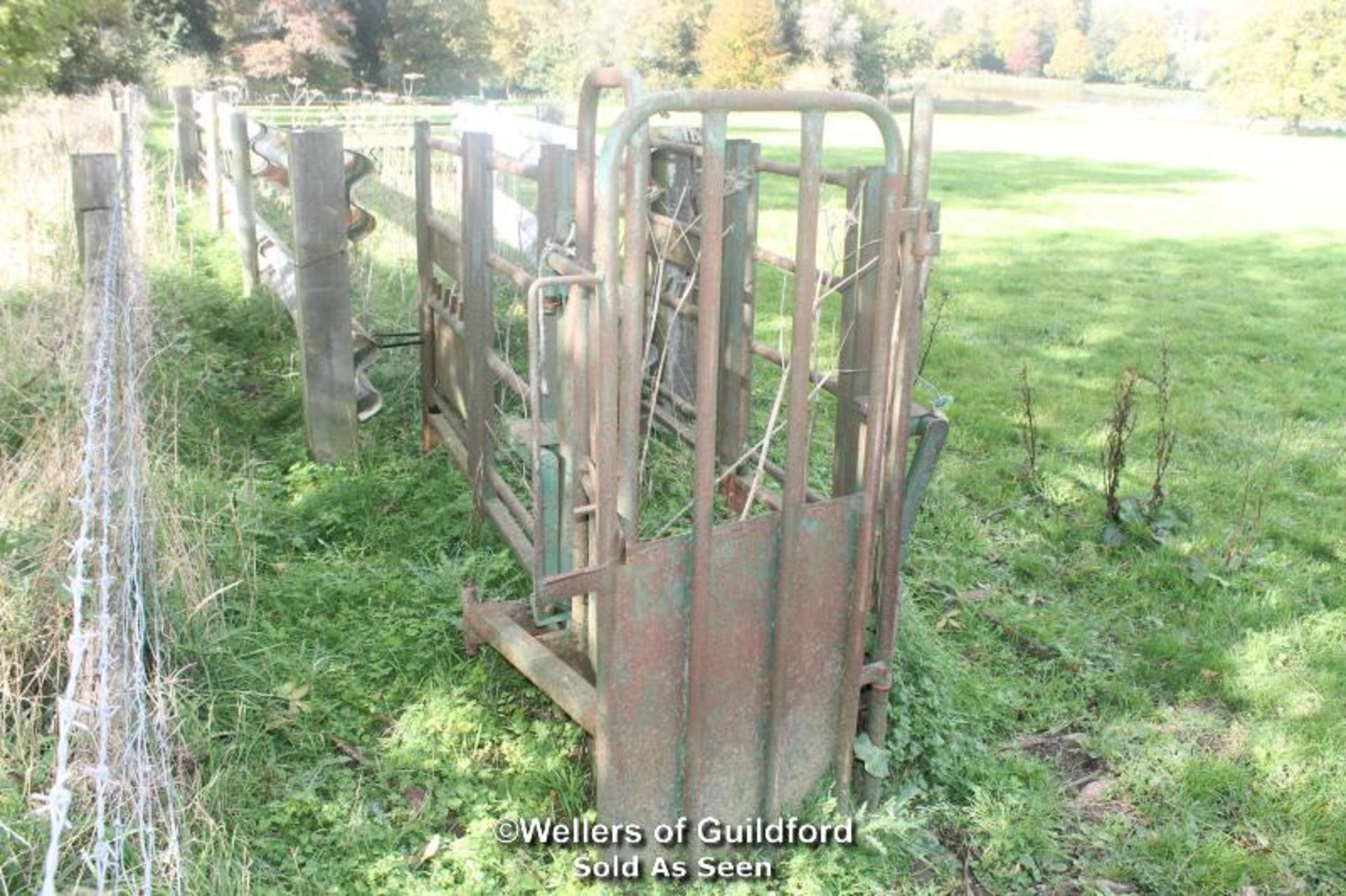 CATTLE CRUSH AND GATE (APPROX 9') - BUYER TO DISMANTLE - LOCATED IN FIELD - Image 2 of 5