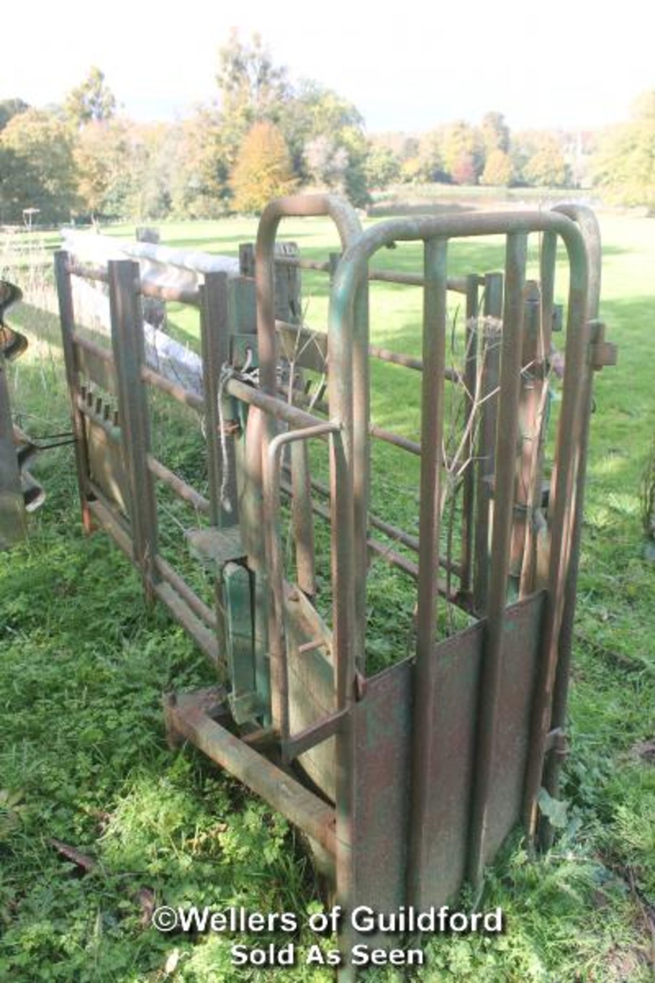 CATTLE CRUSH AND GATE (APPROX 9') - BUYER TO DISMANTLE - LOCATED IN FIELD